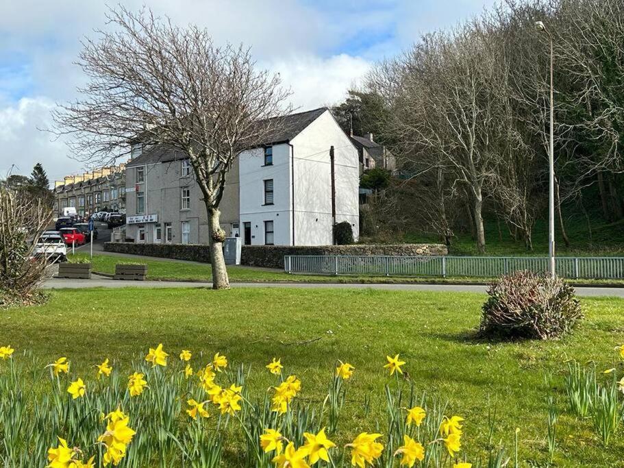 Caernarfon Modern Townhouse Snowdonia Villa Exterior photo